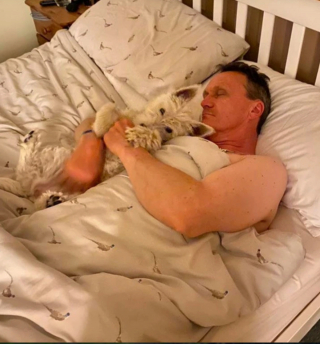 Illustration de l'article : 14 chiens ayant réussi à convertir les parents les plus réticents à l'idée d'adopter