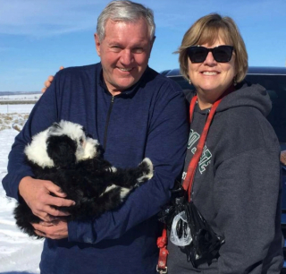 Illustration de l'article : 14 chiens ayant réussi à convertir les parents les plus réticents à l'idée d'adopter