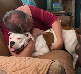 Illustration de l'article : 14 chiens ayant réussi à convertir les parents les plus réticents à l'idée d'adopter