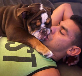 Illustration de l'article : 14 chiens ayant réussi à convertir les parents les plus réticents à l'idée d'adopter