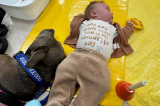 Illustration de l'article : Cette chienne d’assistance soutient sa maîtresse à chaque étape de sa vie, même dans les moments les plus intenses