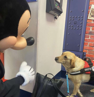 Illustration de l'article : Une pause magique pour cette chienne d'assistance Noodle qui rencontre son personnage Disney favori