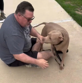 Illustration de l'article : Contraint d’abandonner son chien, ce maître reçoit une touchante surprise le jour de son anniversaire (vidéo)