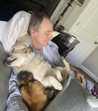 Illustration de l'article : Ces chiens ont pris l’habitude de rejoindre l’un de leur voisin retraité, lorsqu’il fait la sieste