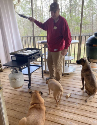 Illustration de l'article : Ces chiens ont pris l’habitude de rejoindre l’un de leur voisin retraité, lorsqu’il fait la sieste