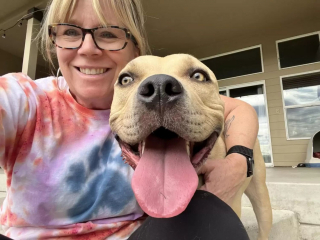 Illustration de l'article : Fou de joie de sortir du refuge, ce chien exprime son bonheur en dansant sous la pluie (vidéo)