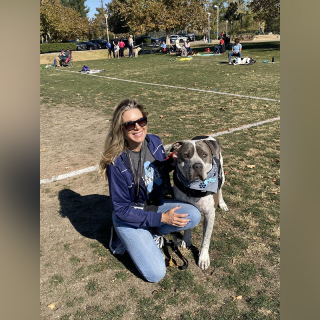 Illustration de l'article : Loin des préjugés sur les Staffs, ce chien au grand cœur devient le père adoptif de chatons abandonnés (vidéo)