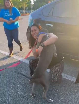 Illustration de l'article : Grâce à sa micropuce et au bon cœur de 2 sœurs, un chien retrouve son foyer après 2 ans d’absence (vidéo)