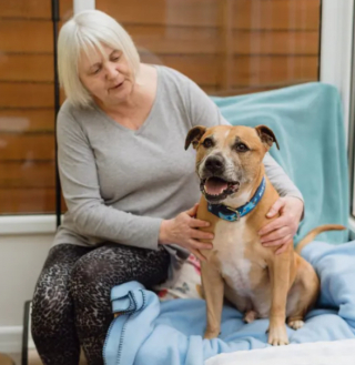 Illustration de l'article : Après avoir été séparé de son maître dans des circonstances tragiques, ce chien a passé 500 jours à attendre au refuge 