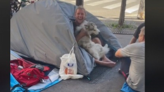 Illustration de l'article : En se liant d’amitié avec un SDF, ce chien donne une leçon de vie à son maître