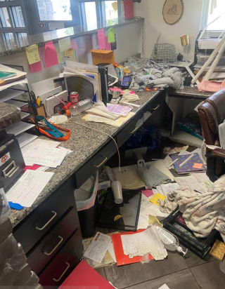 Illustration de l'article : Un Husky turbulent sème le chaos après son arrivée au refuge