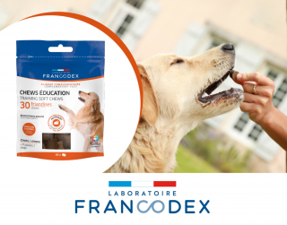 Illustration de l'article : Francodex innove avec ses bouchées chews, une récompense savoureuse pour le bien-être et l'hygiène dentaire des chiens