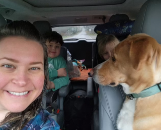 Illustration de l'article : Cette famille parcourt 4000 km pour adopter un Husky aux charmes irrésistibles