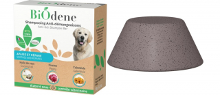 Illustration de l'article : De nouvelles solutions naturelles et amies de l'environnement pour soulager les démangeaisons de votre chien présentées par Biodene