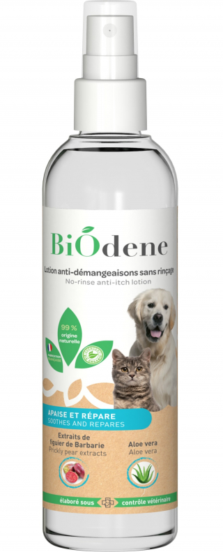 Illustration de l'article : De nouvelles solutions naturelles et amies de l'environnement pour soulager les démangeaisons de votre chien présentées par Biodene