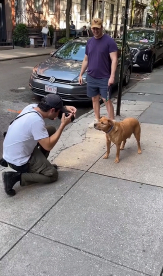 Illustration de l'article : Ce photographe rencontre un chien au passé difficile et partage son histoire en photos