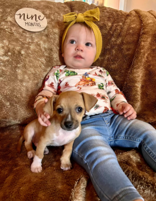 Illustration de l'article : Pendant sa promenade, cette jeune mère de famille fait une pitoyable découverte dans une boîte, abandonnée en plein soleil