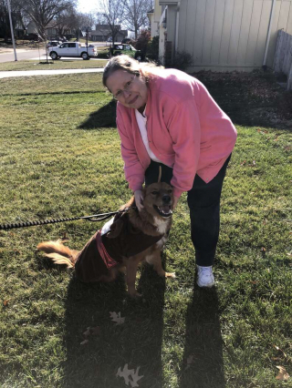 Illustration de l'article : Crimson, la chienne qui brise l'isolement : une amitié à travers une palissade