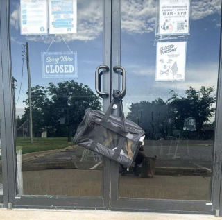 Illustration de l'article : Avec lâcheté, un homme abandonne sa chienne devant les portes d’un refuge en dehors des heures d’ouvertures
