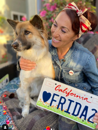 Illustration de l'article : Gravement blessée en Thaïlande, cette courageuse chienne paralysée redonne de l’espoir aux handicapés du monde entier