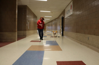 Illustration de l'article : Des lycéens trouvent une solution pour permettre à une chienne amputée de courir à nouveau  