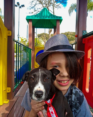 Illustration de l'article : 20 photos racontant la magnifique histoire de Thiago, enfant qui aide les chiens errants en leur donnant le bain