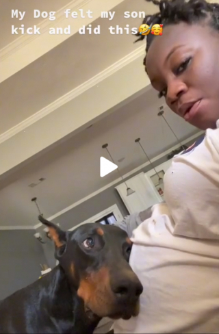 Illustration de l'article : La réaction émouvante d'un Doberman sentant le bébé bouger dans le ventre de sa maîtresse enceinte (vidéo)