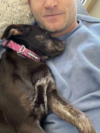 Illustration de l'article : 20 photos réconfortantes de chiens qui retrouvent leur joie de vivre grâce à l'adoption