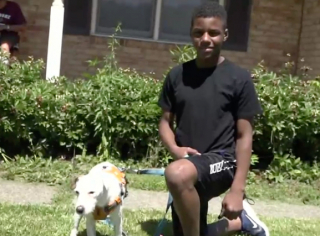 Illustration de l'article : Le retour miraculeux d'un chien disparu grâce à la générosité d'un adolescent et d'une communauté unie