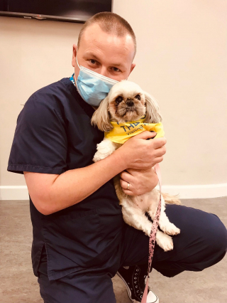 Illustration de l'article : Une chienne d’assistance donne le sourire aux patients d’une unité de santé mentale