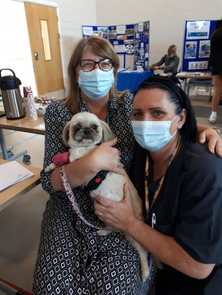 Illustration de l'article : Une chienne d’assistance donne le sourire aux patients d’une unité de santé mentale