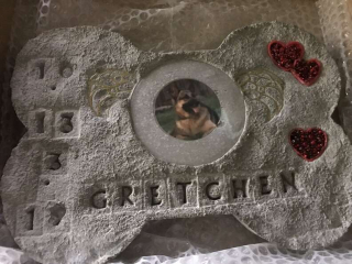 Illustration de l'article : Un facteur accomplit la dernière volonté d’un chien qu’il aimait beaucoup 