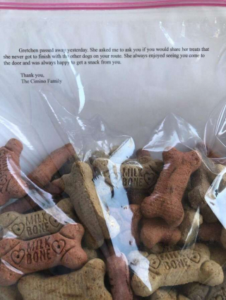 Illustration de l'article : Un facteur accomplit la dernière volonté d’un chien qu’il aimait beaucoup 