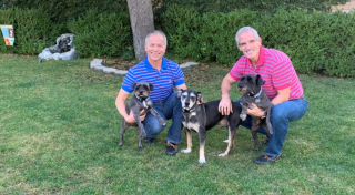 Illustration de l'article : Un homme malade attendait que son chien trouve une nouvelle famille pour mourir en paix