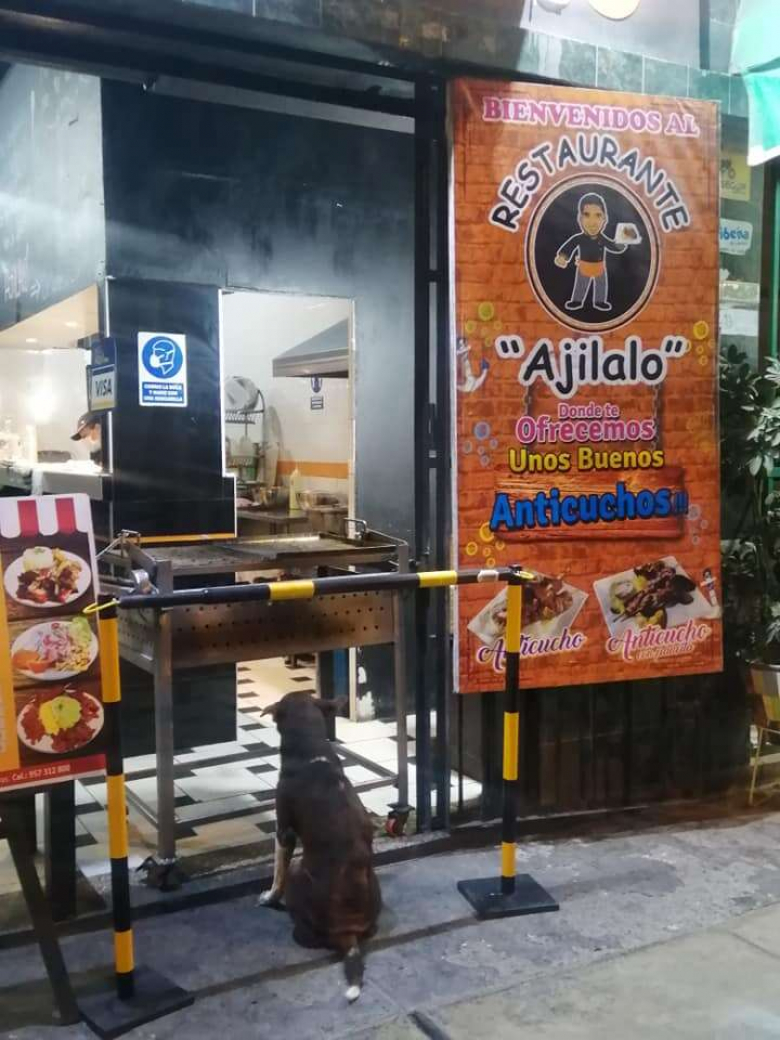 https://www.chien.fr/assets/ckeditor/2023/feb/actualities/578/xl/un-restaurateur-au-cur-sur-la-main-prepare-chaque-jour-des-repas-pour-les-chiens-errants-de-son-quartier-40c60d47a.jpg