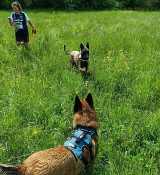 Illustration de l'article : Un chien aveugle et maltraité trouve la voie du bonheur, grâce aux bénévoles qui l’ont secouru