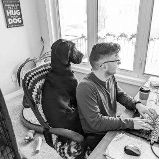 Illustration de l'article : 20 chiens bien décidés à ne pas respecter le besoin d'espace personnel du maître