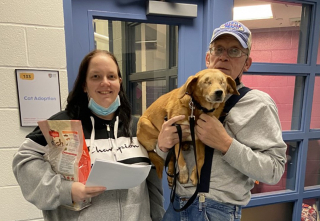 Illustration de l'article : Rusty, un Beagle aveugle de 9 ans subit une double opération dans l'espoir de trouver une famille au grand coeur