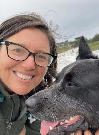 Illustration de l'article : Une promeneuse s'émeut en découvrant un panier de balles de tennis et la photo d’un chien au bord de la route