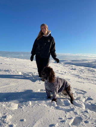 Illustration de l'article : Une semaine d'angoisse et des grands moyens déployés pour retrouver un chien en fuite après avoir suivi un couple d'inconnus lors d'une randonnée