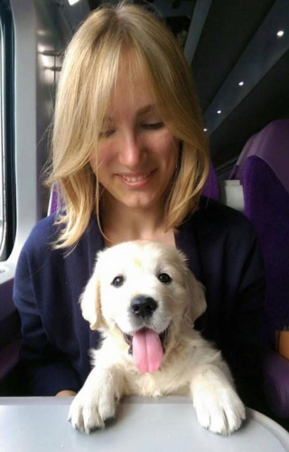 Illustration de l'article : 17 photos de chiens grâce auxquels les voyages dans les transports en commun deviennent plus plaisants