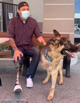 Illustration de l'article : Un vétéran amputé sort de la dépression en adoptant un chien à 3 pattes