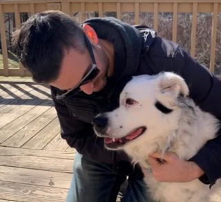 Illustration de l'article : Des milliers de partages sur les réseaux sociaux pour retrouver Harley, le chien volé dans une voiture pendant un déménagement