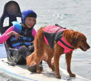 Illustration de l'article : Une chienne atteinte d’un cancer, a réussi à récolter près d’un million d’euros pour les personnes handicapées grâce à sa pratique d'un sport inédit