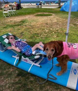 Illustration de l'article : Une chienne atteinte d’un cancer, a réussi à récolter près d’un million d’euros pour les personnes handicapées grâce à sa pratique d'un sport inédit