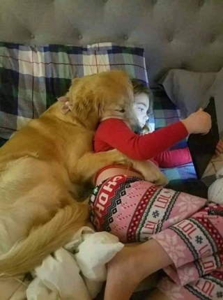 Illustration de l'article : 14 photos de chiens montrant qu'ils trouveront toujours le moyen de nous faire craquer