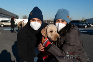 Illustration de l'article : Après des mois d’attente, ces 27 chiens sauvés du trafic de viande en Chine rejoignent leur famille pour la vie 