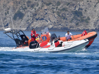 Illustration de l'article : Frayeur en bord de mer : un chien aperçu seul à bord d’un bateau zodiac lancé à pleine vitesse