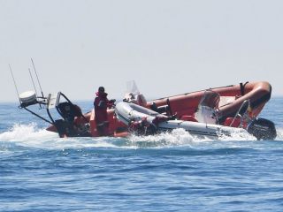 Illustration de l'article : Frayeur en bord de mer : un chien aperçu seul à bord d’un bateau zodiac lancé à pleine vitesse