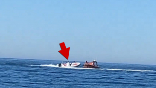 Illustration de l'article : Frayeur en bord de mer : un chien aperçu seul à bord d’un bateau zodiac lancé à pleine vitesse